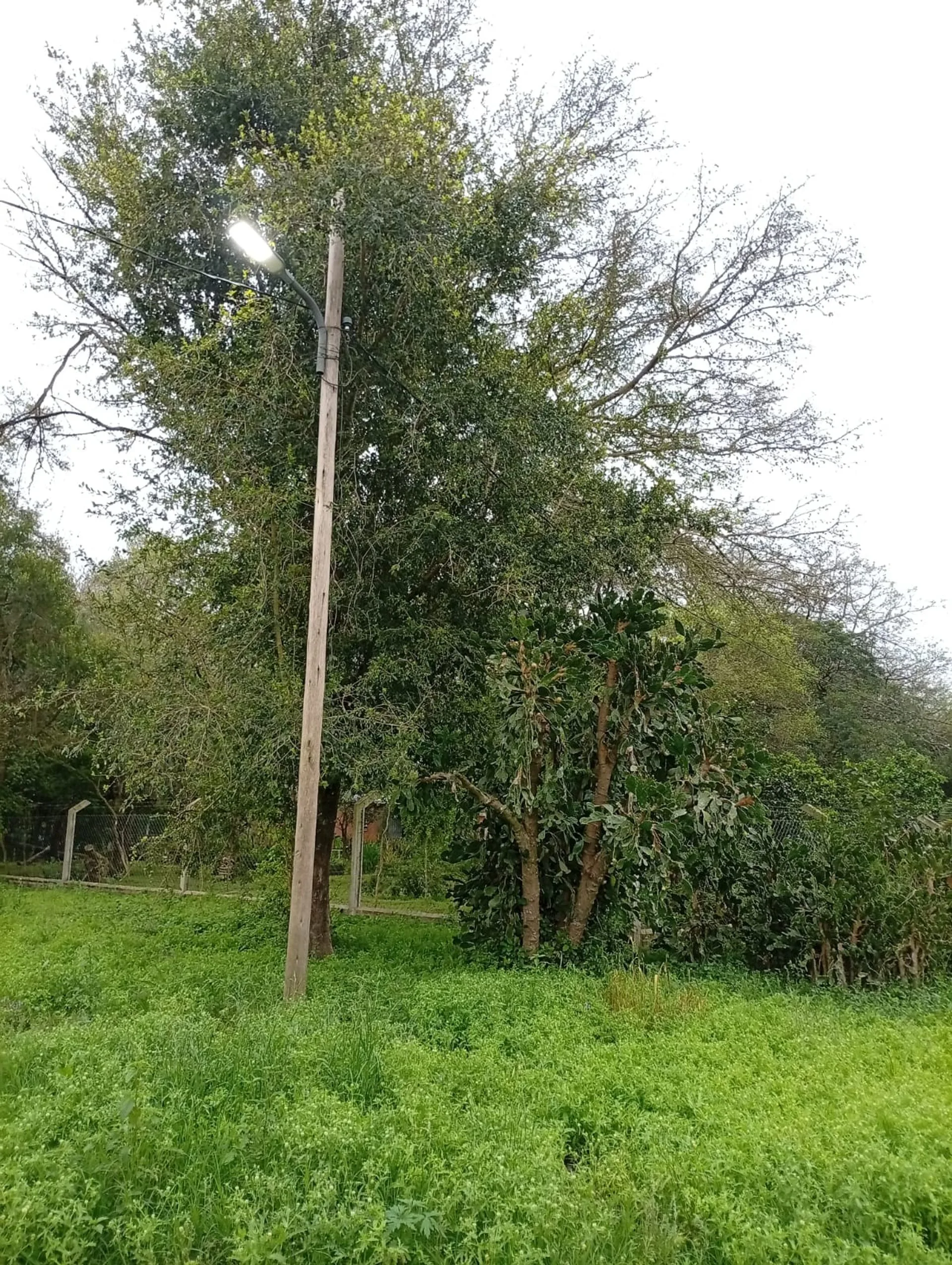 1 HECTAREA EN MARGARITA BELEN foto 2