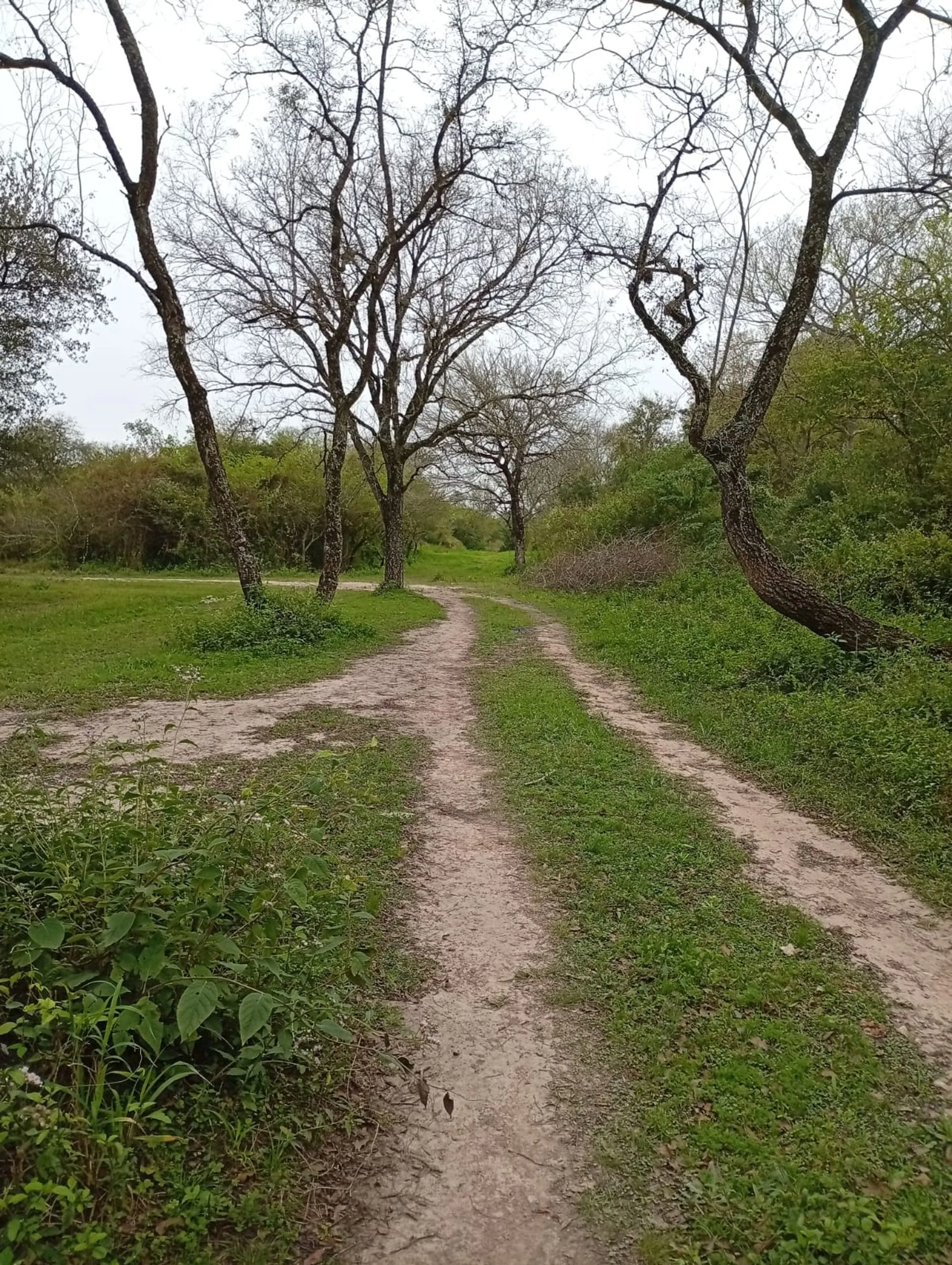 1 HECTAREA EN MARGARITA BELEN foto 4