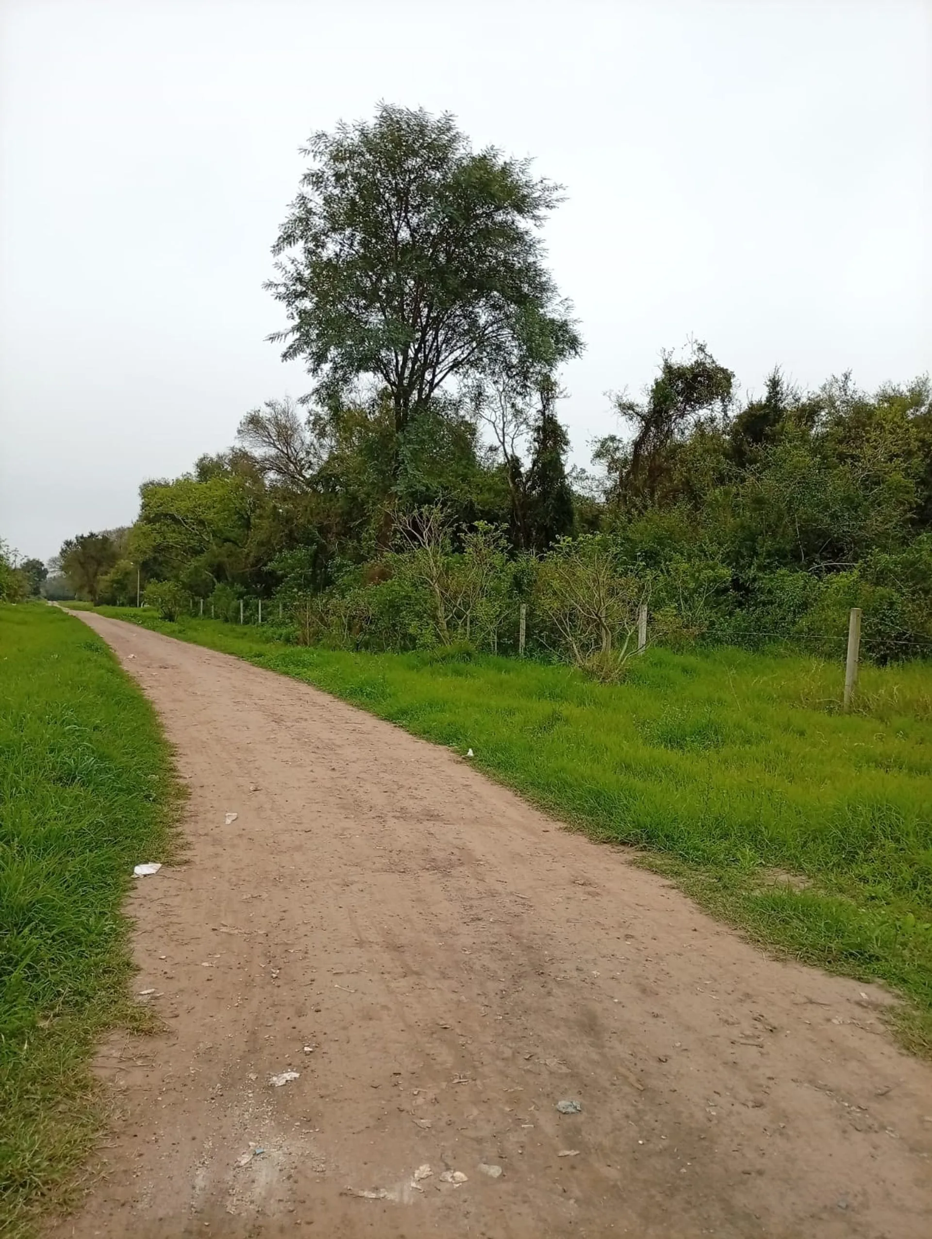 1 HECTAREA EN MARGARITA BELEN foto 5