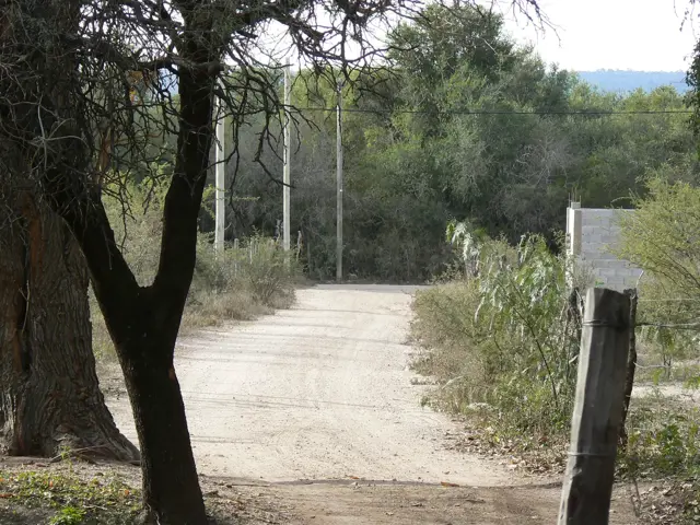 TERRENO CON HERMOSOS ALGARROBOS EN SAN MARCOS 1000 M2