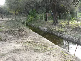 TERRENO CON HERMOSOS ALGARROBOS EN SAN MARCOS 1000 M2 foto 2