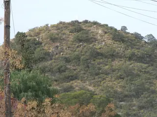 TERRENO CON HERMOSOS ALGARROBOS EN SAN MARCOS 1000 M2 foto 5
