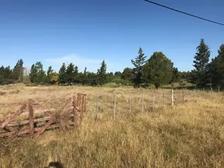 SE VENDE HERMOSO LOTE CON COSTA DE RÍO foto 4
