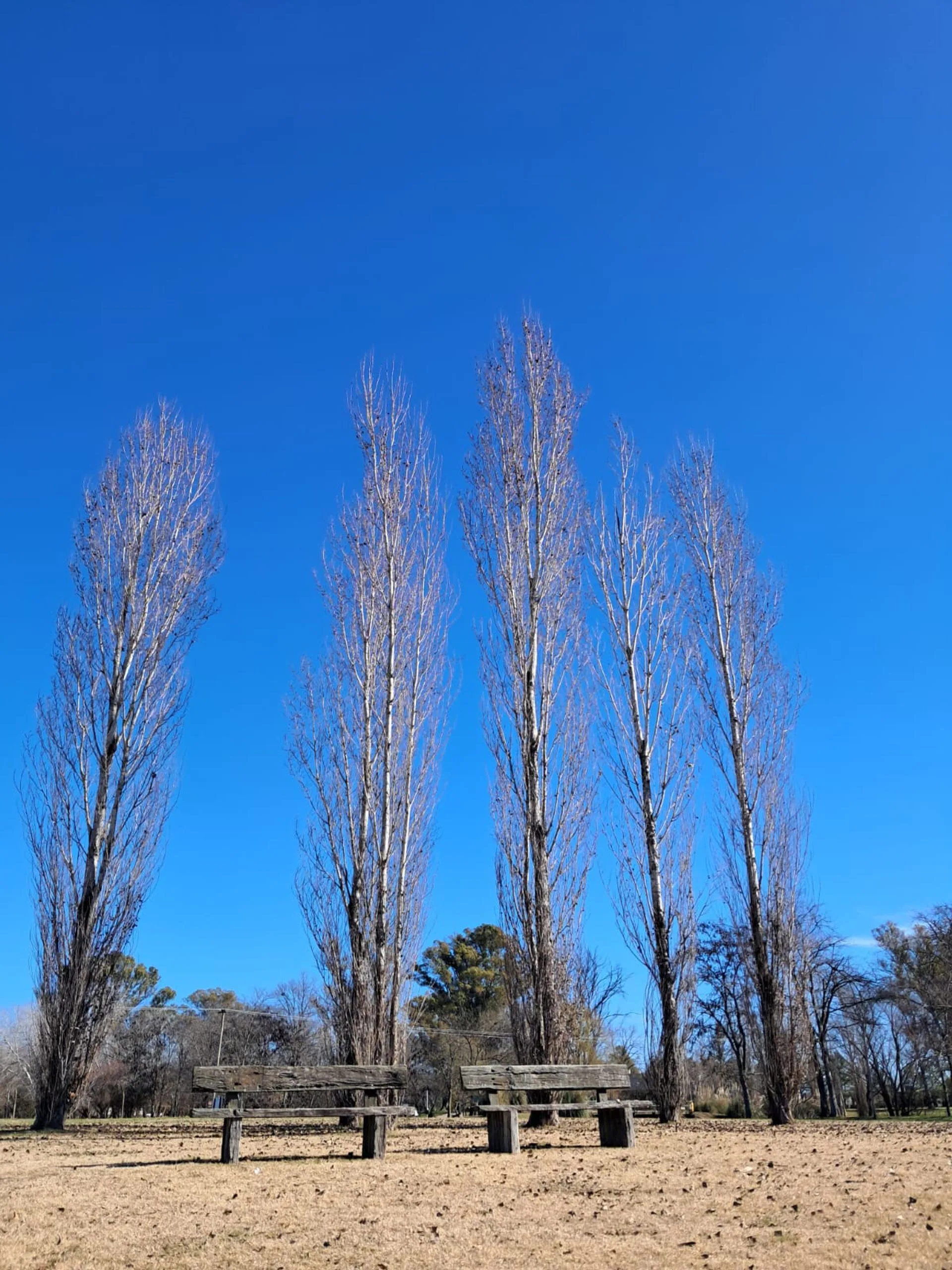 VENDE LOTE 10.000 COMARCAS DE LUJAN SANTA MATILDE foto 3