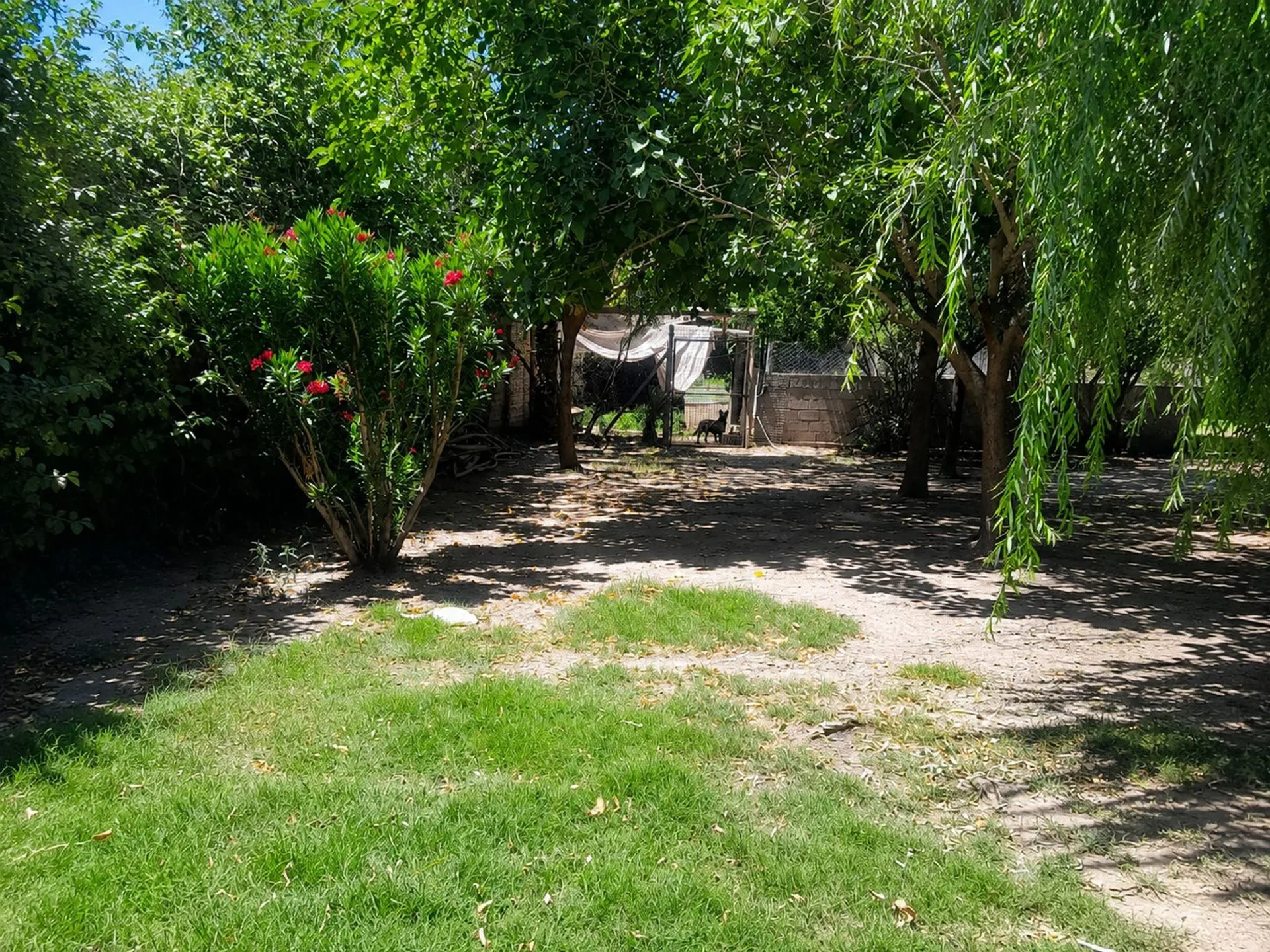 Venta de terreno con construccion Rodeo de la Cruz foto 2
