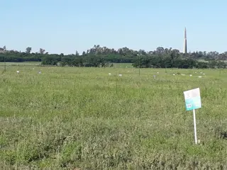 Lotes en Venta - Estancia Santa Lucia - Los Mejores Precios y Facilidades - Muy cerca de Córdoba, por autovía a Alta Gracia... Visítelo foto 3