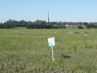 Lotes en Venta - Estancia Santa Lucia - Los Mejores Precios y Facilidades - Muy cerca de Córdoba, por autovía a Alta Gracia... Visítelo foto 4