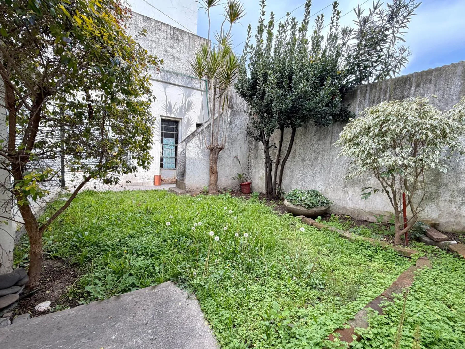 CASA EN VENTA A RECICLAR LOTE PROPIO EN HAEDO foto 3