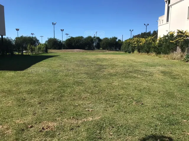 LOTE EN ALISOS 300