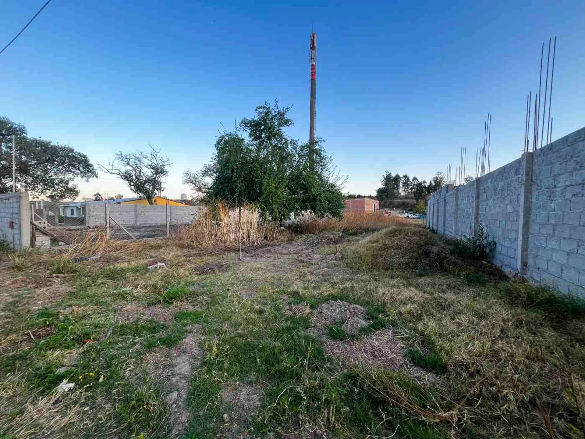 VENTA DE TERRENO 593MTS LOS ALISOS foto 5
