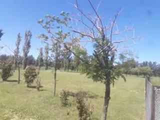 VENDE LOTE EXCELENTE UBICACION EN CLUB DE CAMPO HARAS DE FUNES foto 1