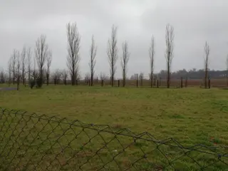 VENDE LOTE EXCELENTE UBICACION EN CLUB DE CAMPO HARAS DE FUNES foto 5