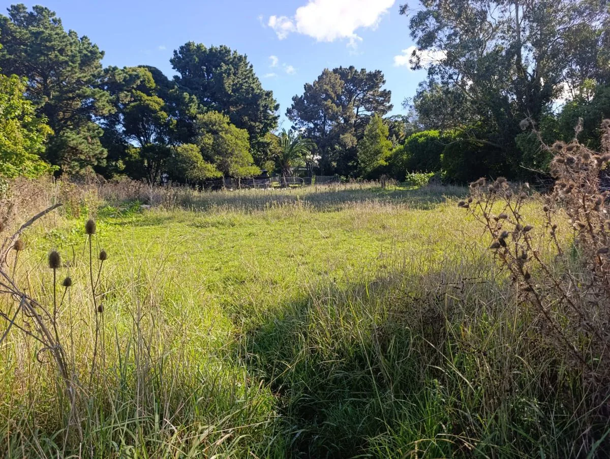 VENTA LOTE SANTA CELINA 600 M2