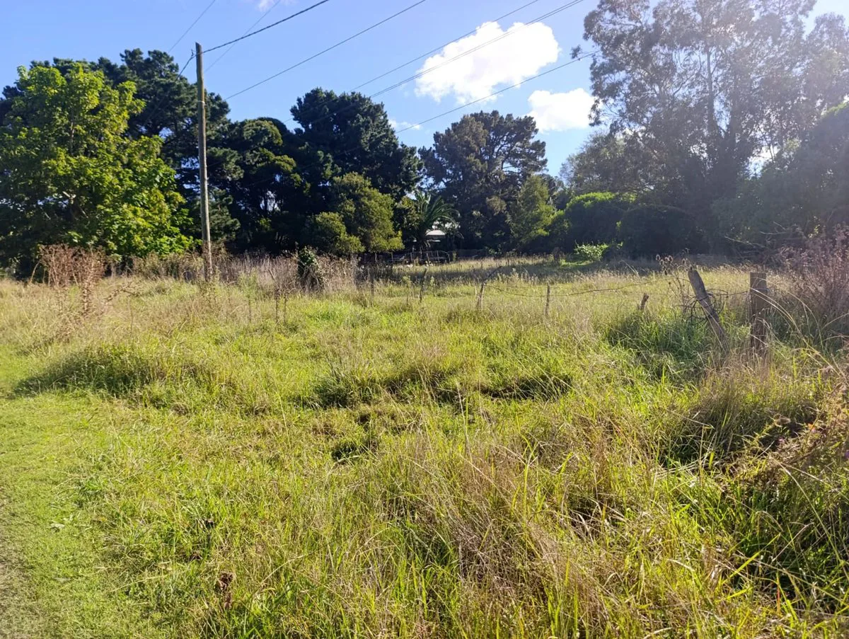 VENTA LOTE SANTA CELINA 600 M2 foto 2