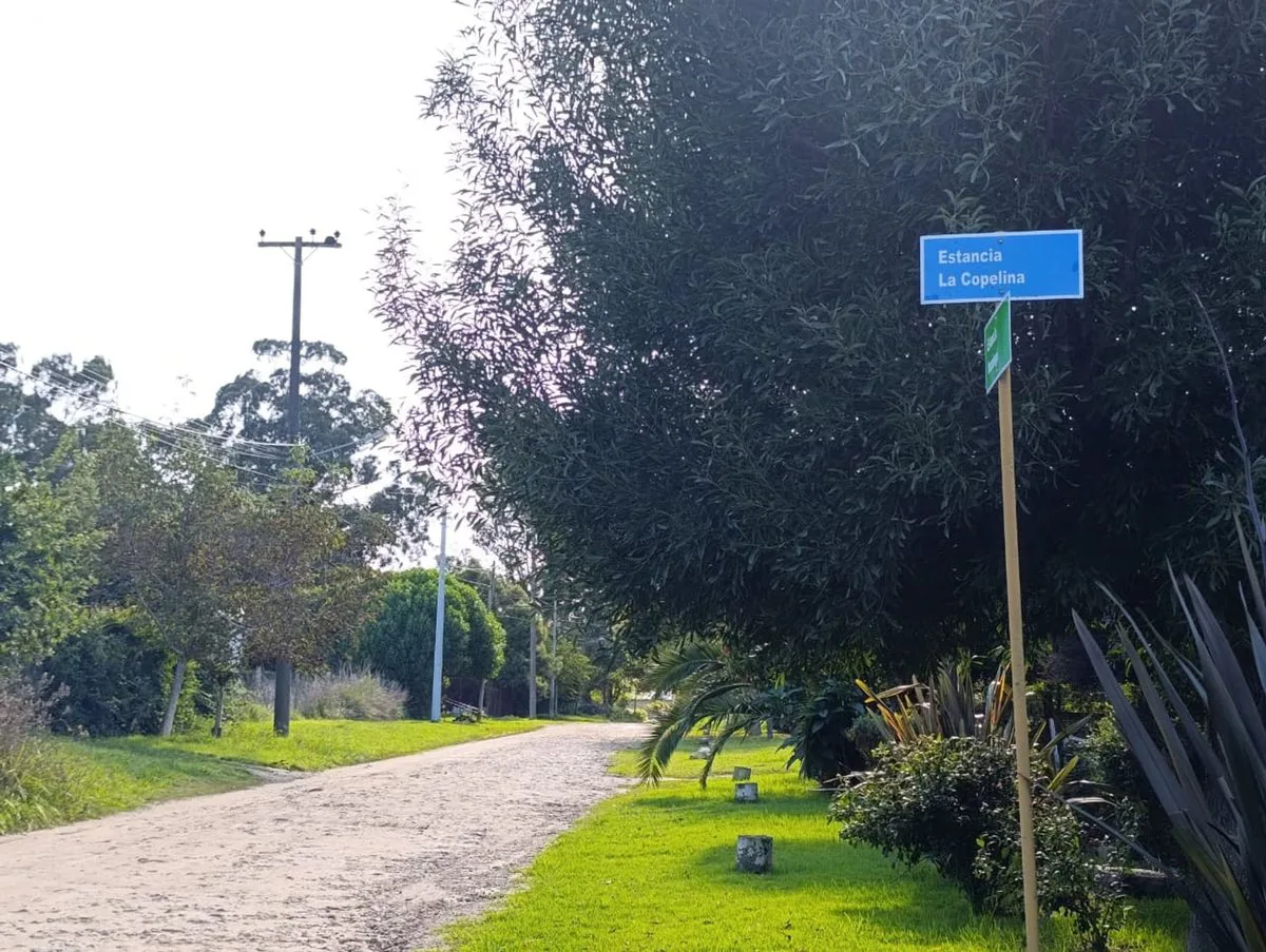 VENTA LOTE SANTA CELINA 600 M2 foto 5