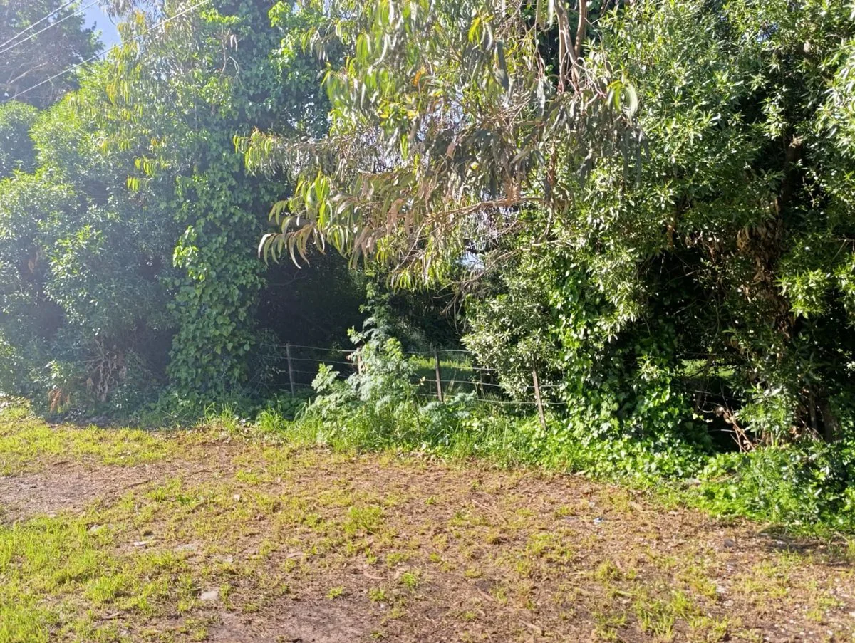 Venta Lote Barrio Santa Celina foto 2
