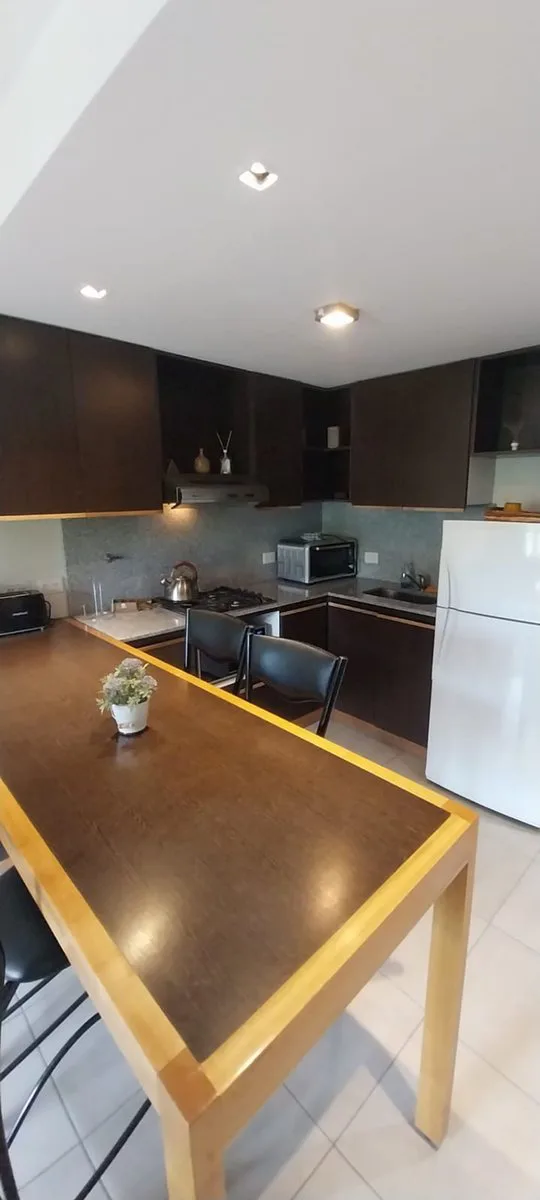 RE/MAX VENDE DEPARTAMENTO CENTRICO AMOBLADO 2 AMB foto 3
