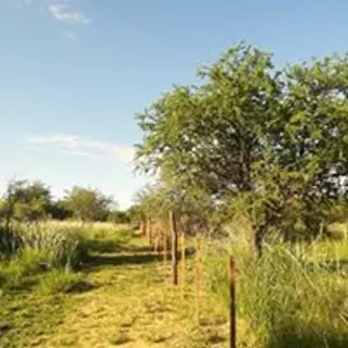 Hermoso Terreno en Villa de Las Rosas, Traslasierra foto 3