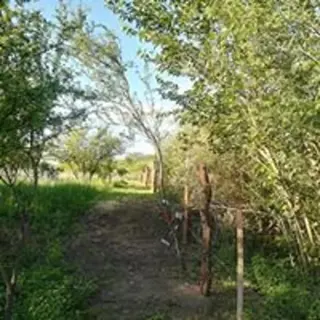 Hermoso Terreno en Villa de Las Rosas, Traslasierra foto 5