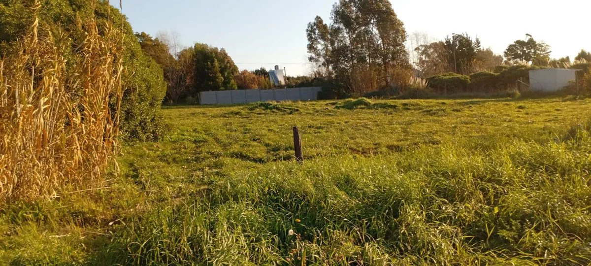 VENTA TERRENO 943M2 COLONIAS CHAPADMALAL MDP foto 5