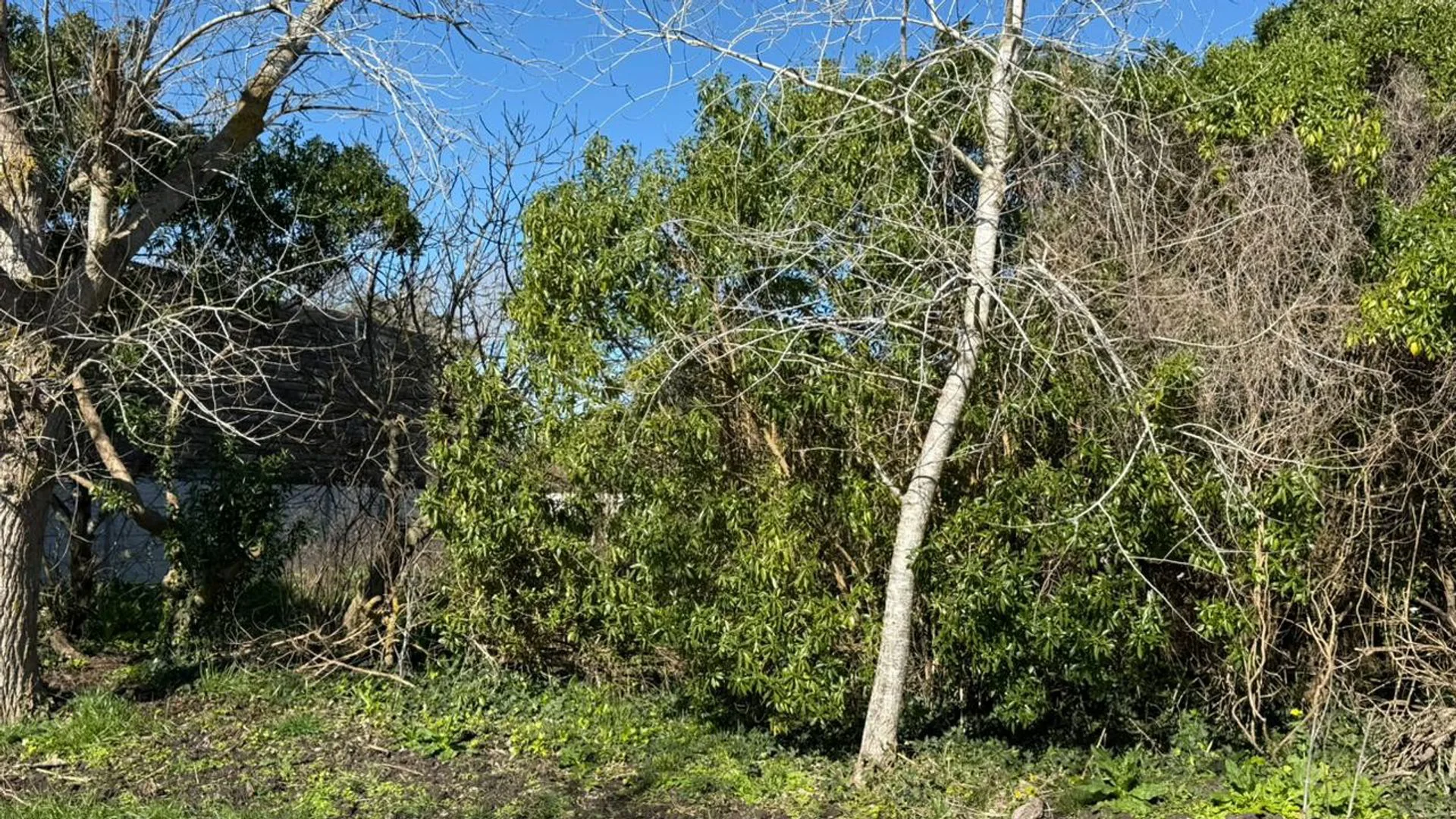 LOTE EN VENTA CHAPADMALAL 426 MTS A 6 DEL MAR foto 5