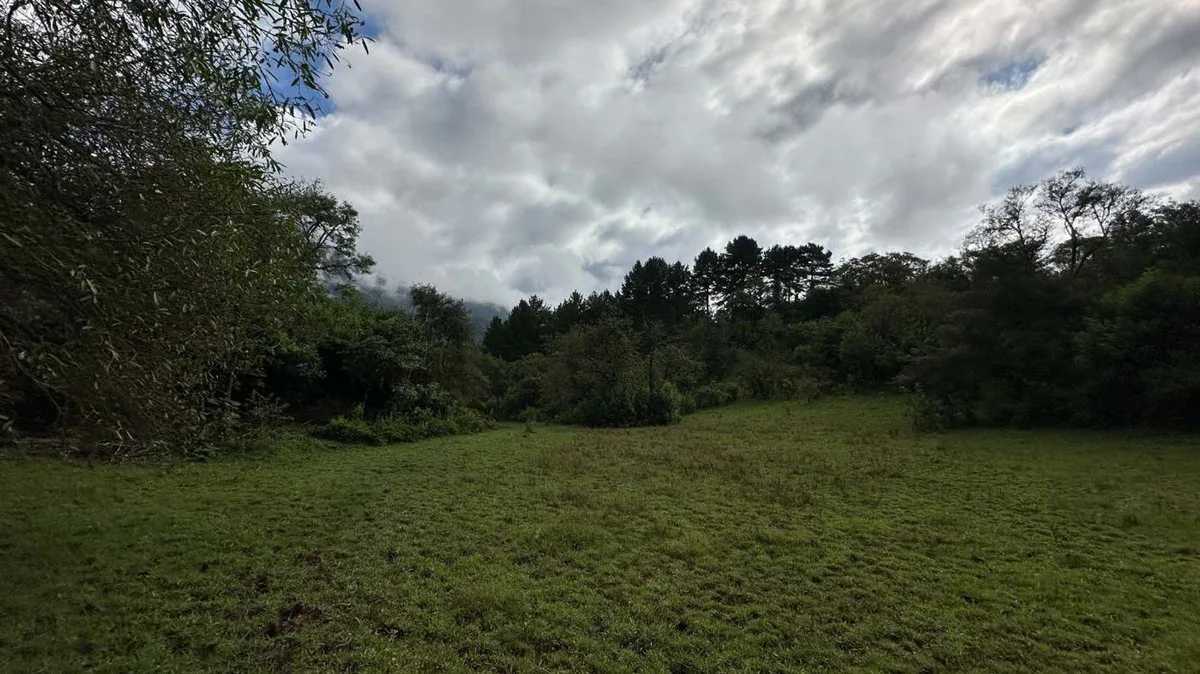 VENTA TERRENO 94.417 m²- YALA - LOS NOGALES- JUJUY
