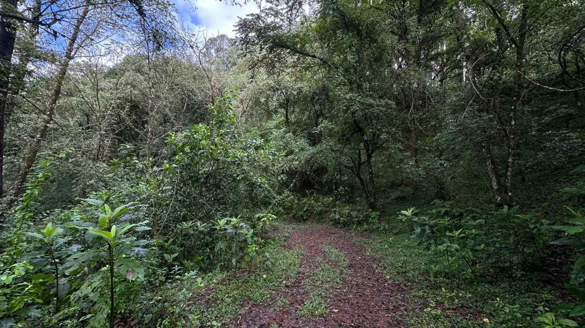 VENTA TERRENO 94.417 m²- YALA - LOS NOGALES- JUJUY foto 2