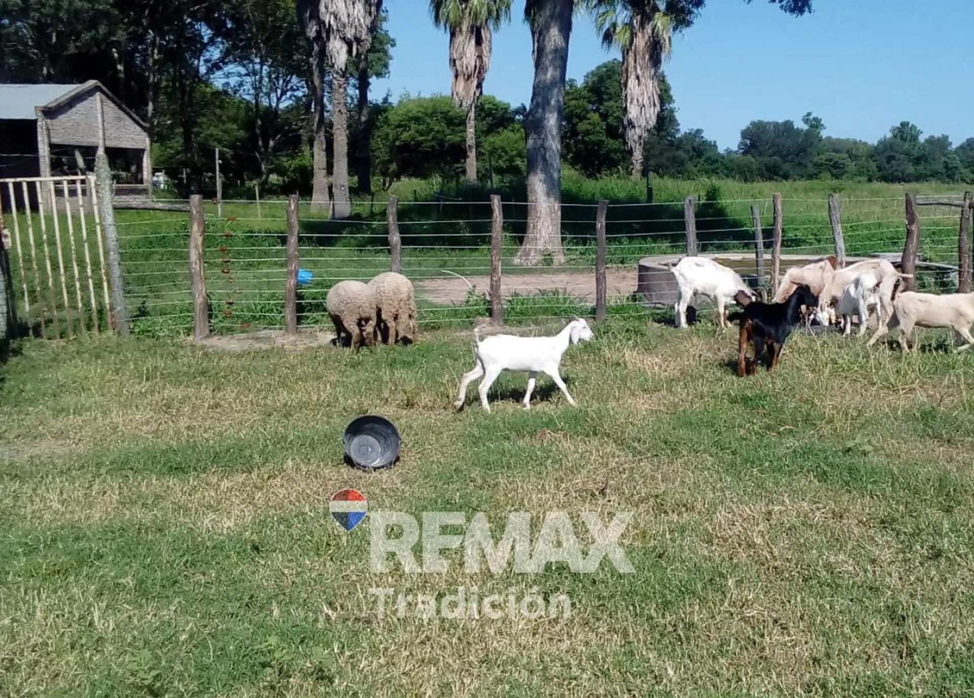 Campo en venta 315 has Pampa del Indio foto 3