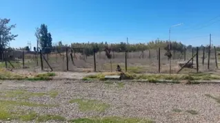VENTA LOTE BARRIO BRISAS ANDINAS  GUAYMALLÉN foto 1