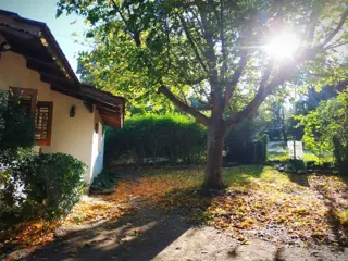 2 CASAS Y 2 DEPARTAMENTOS EN EXCELENTE ESTADO, EN UN TERRENO DE 950 METROS.  PEGADO AL CENTRO.  NO SE VENDE POR SEPARADO. https://youtu.be/LPhbAYXXcH8 foto 5