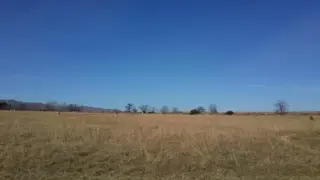 PUNTO CLARO - LOS REARTES foto 1