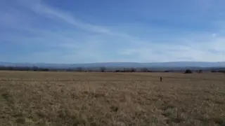 PUNTO CLARO - LOS REARTES foto 2