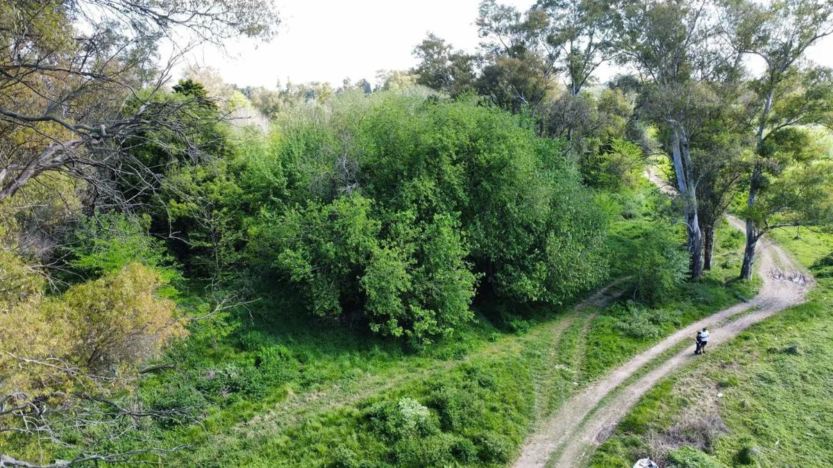 Venta de lote La Lonja Pilar foto 4