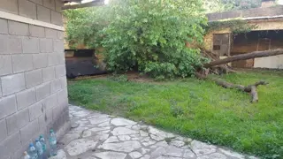 VENTA DE LOCAL CON VIVIENDA - INMEJORABLE UBICACIÓN - 380 M² - A MTS DE COTO - APTO A CREDITO foto 3