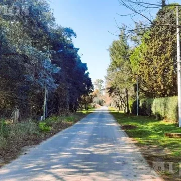 ZONA LA BOTA. LOTE 2.500 m². APTO DESARROLLO INMOBILIARIO. foto 2