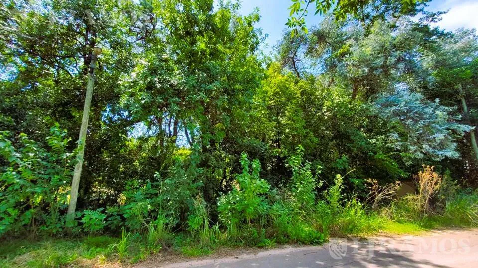 ZONA LA BOTA. LOTE 2.500 m². APTO DESARROLLO INMOBILIARIO. foto 3