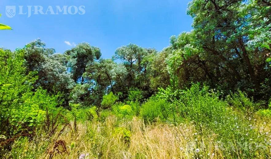 ZONA LA BOTA. LOTE 2.500 m². APTO DESARROLLO INMOBILIARIO. foto 4