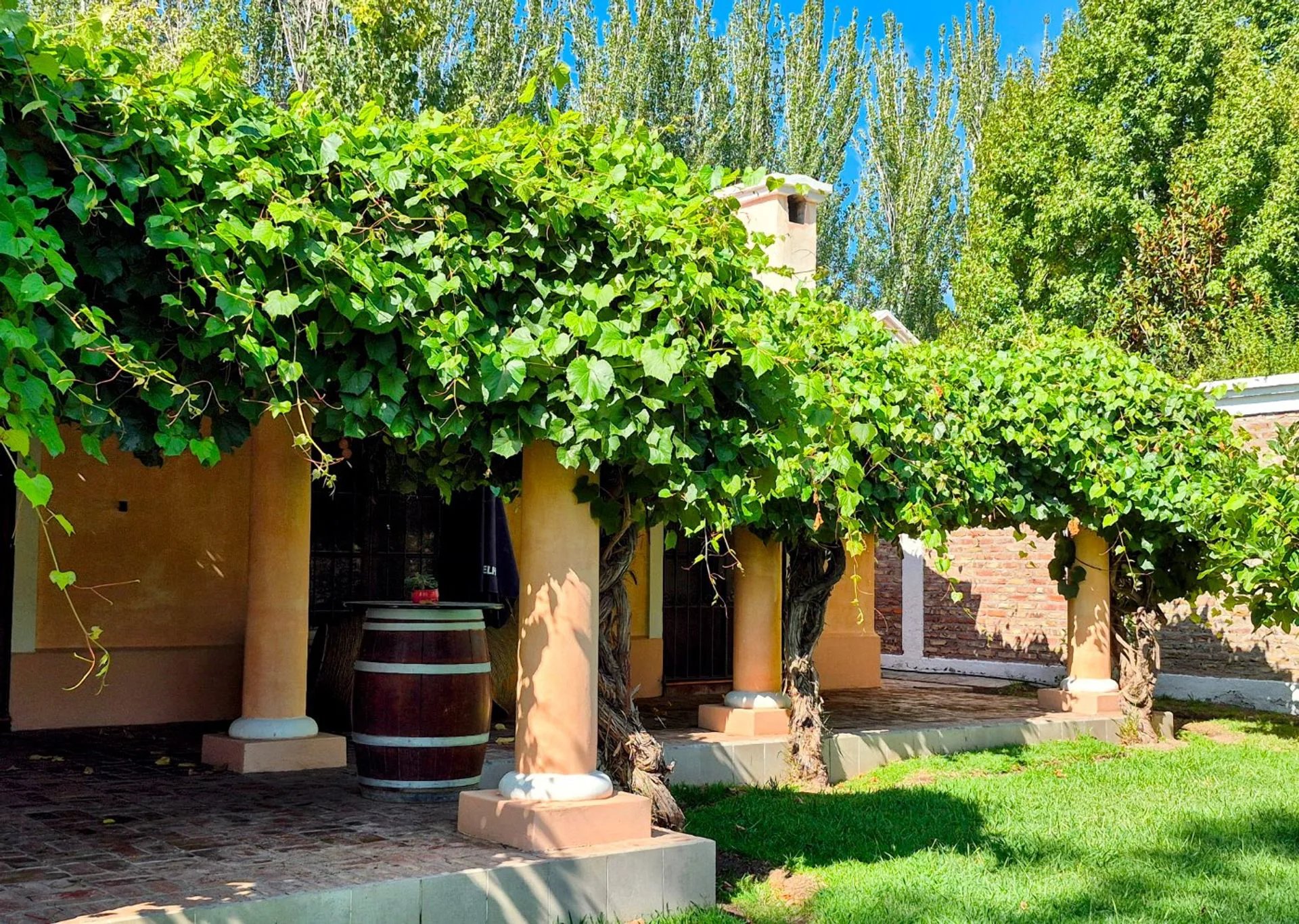 Venta Casa Colonial Chacras de Coria Lujan de Cuyo foto 3