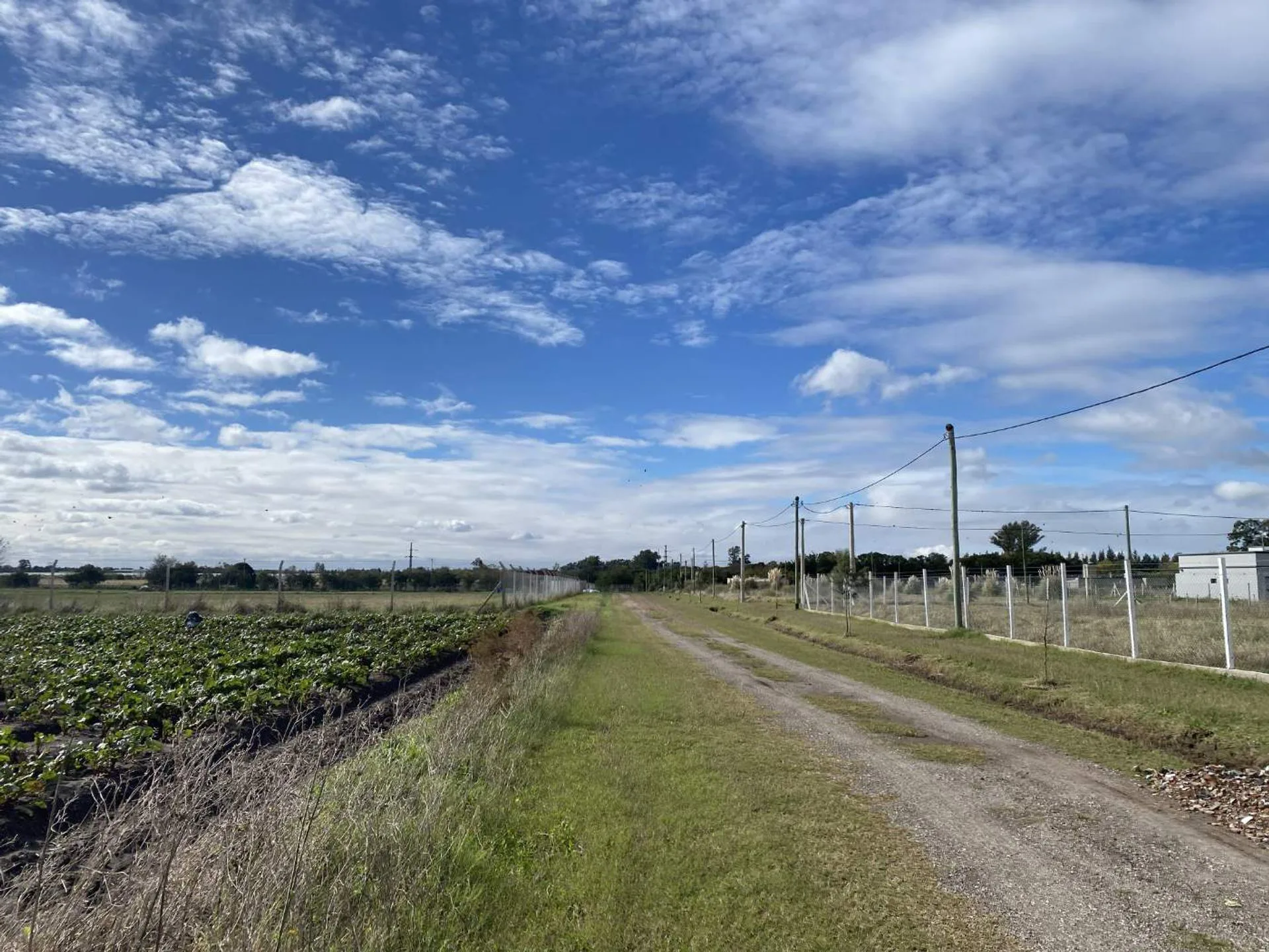 CAMPO EN VENTA LA PLATA, ARANA . foto 2