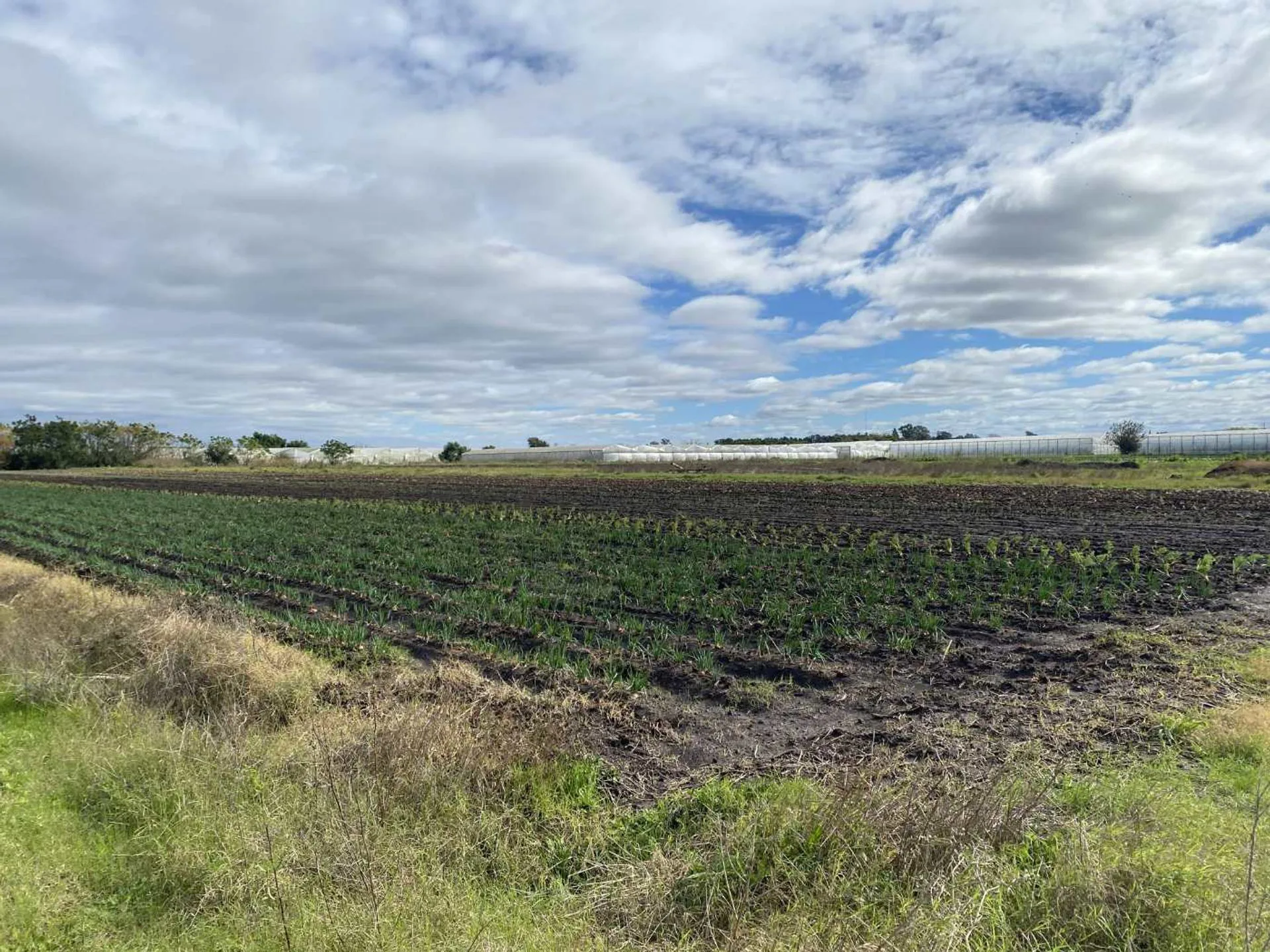 CAMPO EN VENTA LA PLATA, ARANA . foto 3