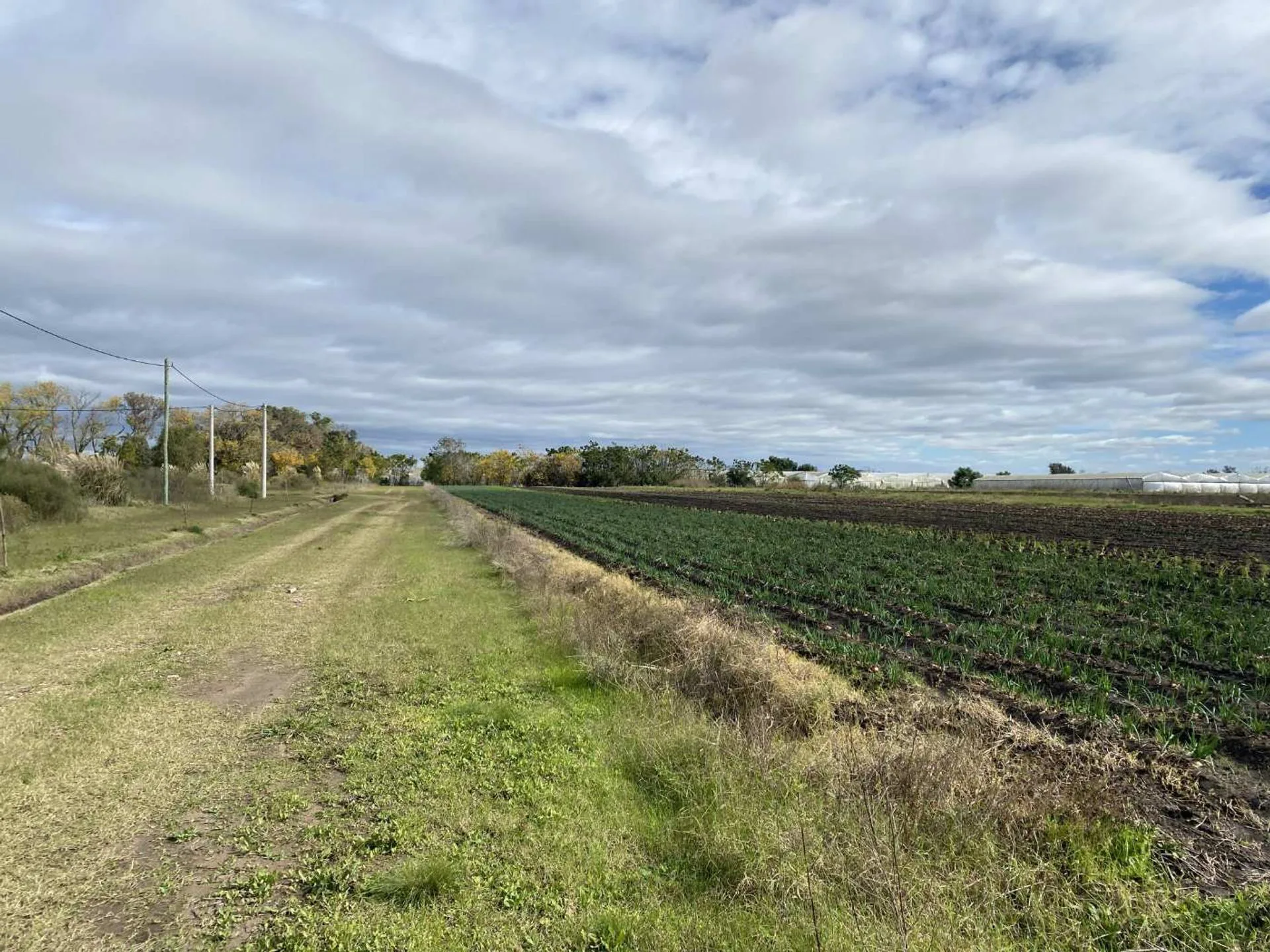 CAMPO EN VENTA LA PLATA, ARANA . foto 4