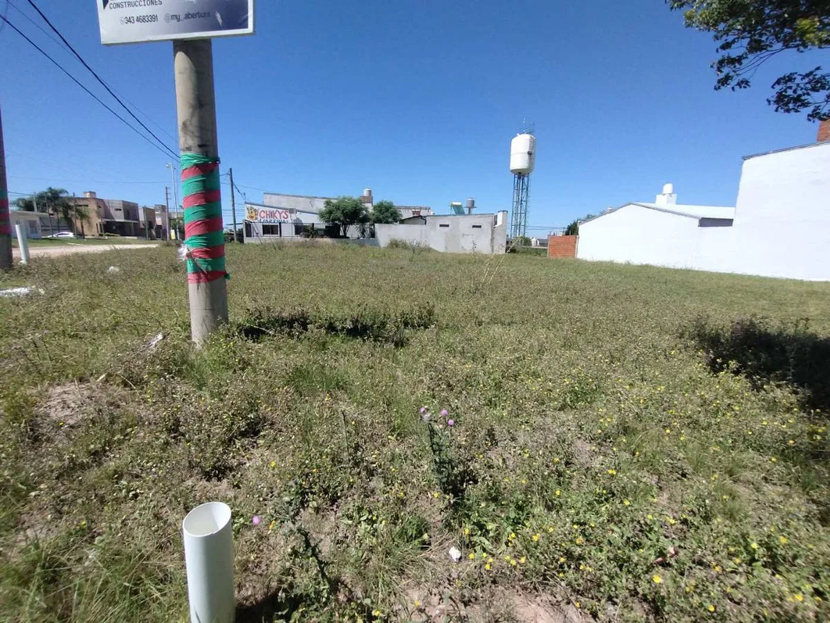 Gran terreno de 900 m2 en esquina, San Benito foto 4