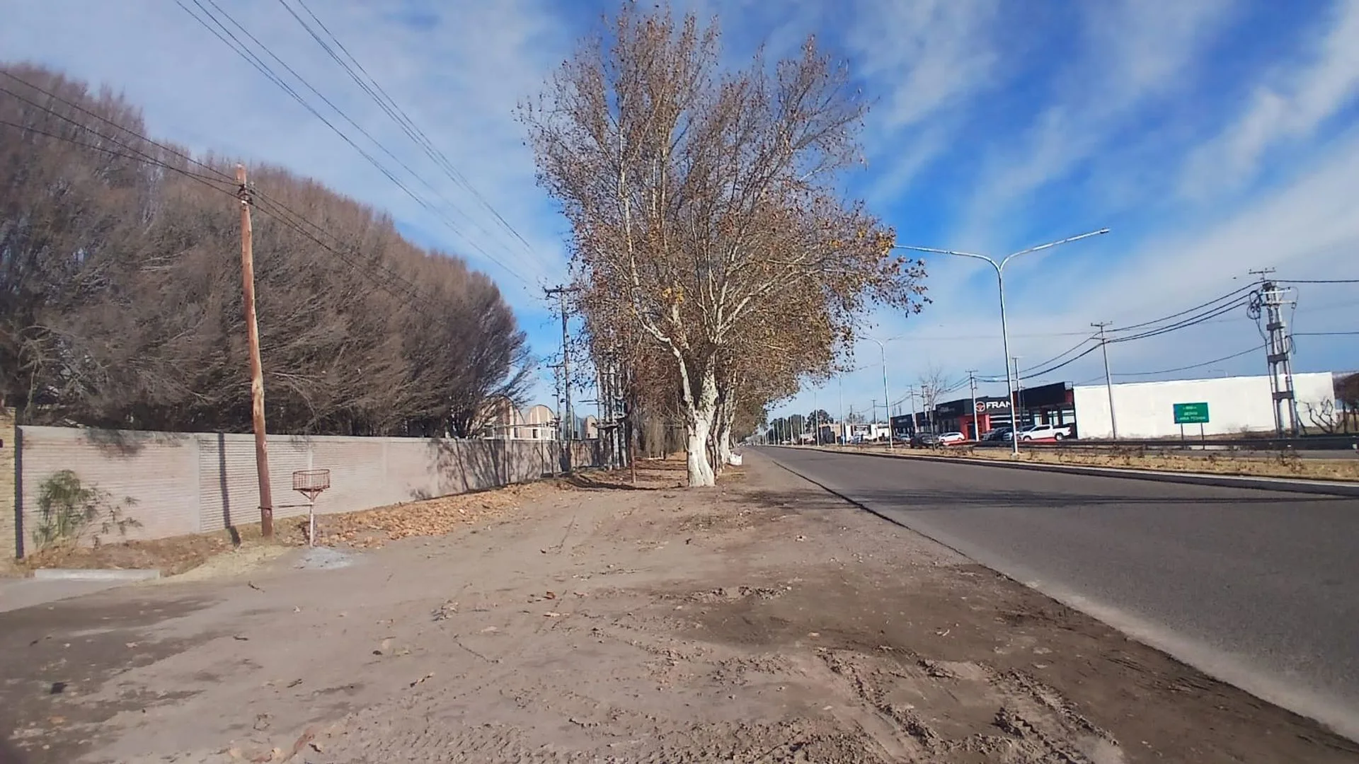 Venta de 5 Galpones en Gral. Alvear s/Ruta N. 143 foto 5