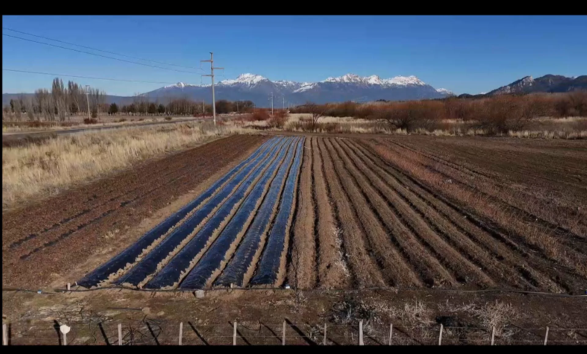 TREVELIN-1 Hectárea-Luz-Agua c/cisterna foto 3