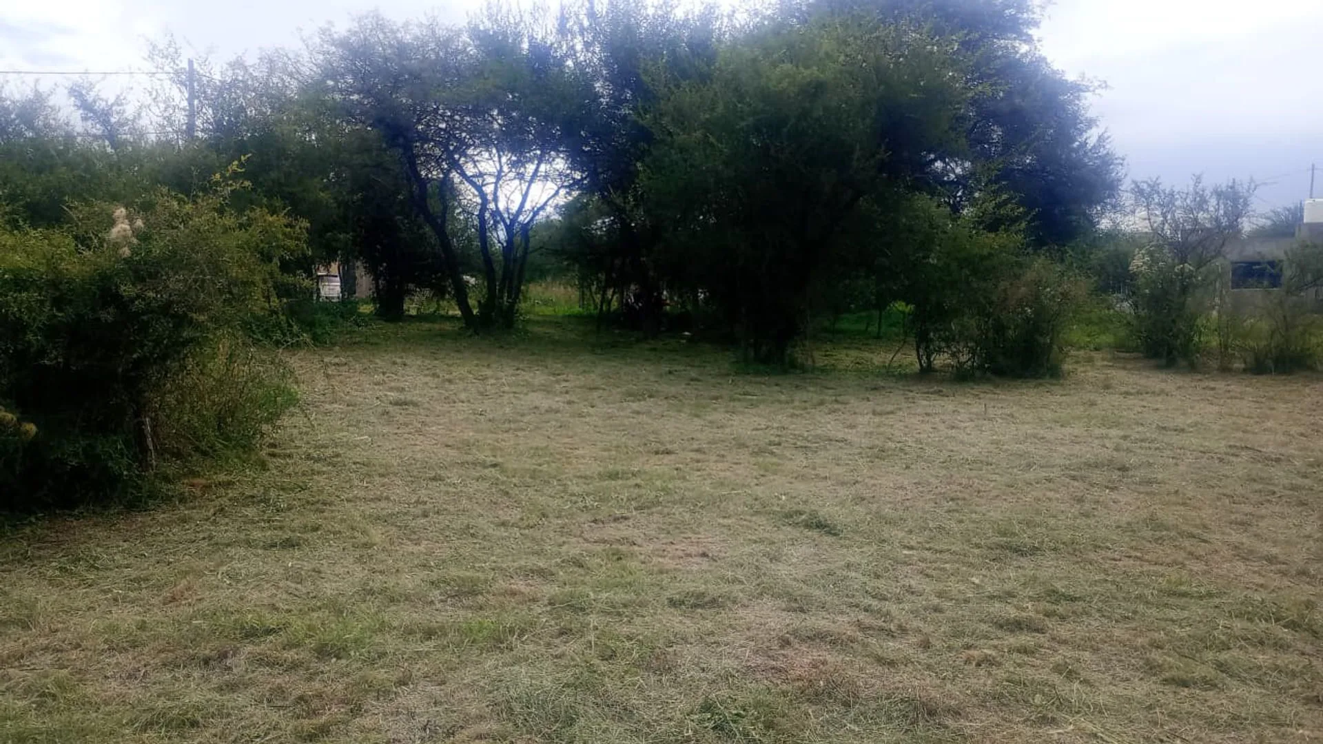 LOTE 480 M2 ANISACTE EXCELENTE UBICACION foto 5