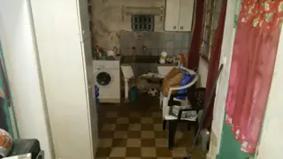 Casa de loza, todo en planta baja, a refaccionar, jardin al frente, living, comedor, cocina con muebles bajos, dos baños, dos dormitorios, patio y fon foto 5