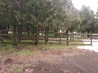 Terreno de 1500m2 en Los Riscos foto 2