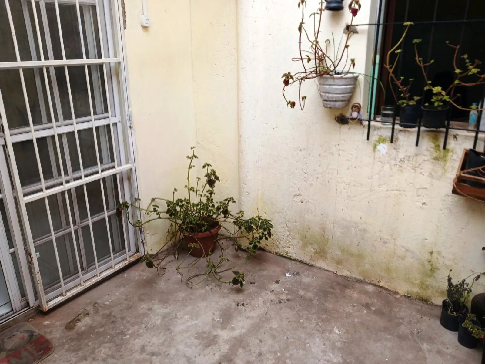 CIUDADELA - Depto. Tipo Casa -PH- en Venta 3 ambientes SIN EXPENSAS Proximo al Htal. Carrillo y Av. Gaona foto 3