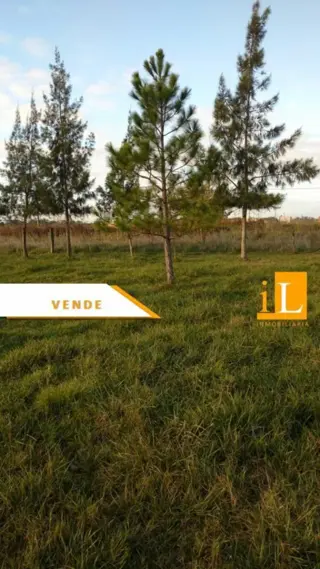 LOTES CON FINANCIACION EN Bº LAS ACACIAS - SOBRE RUTA 210 - BRANDSEN foto 1