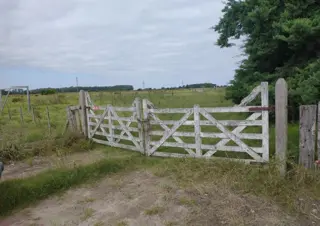 CAMPO en Venta en Punta Indio - sobre Ruta foto 1